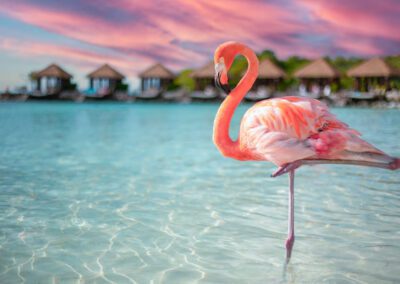 paquetes turisticos en Aruba con Munditur