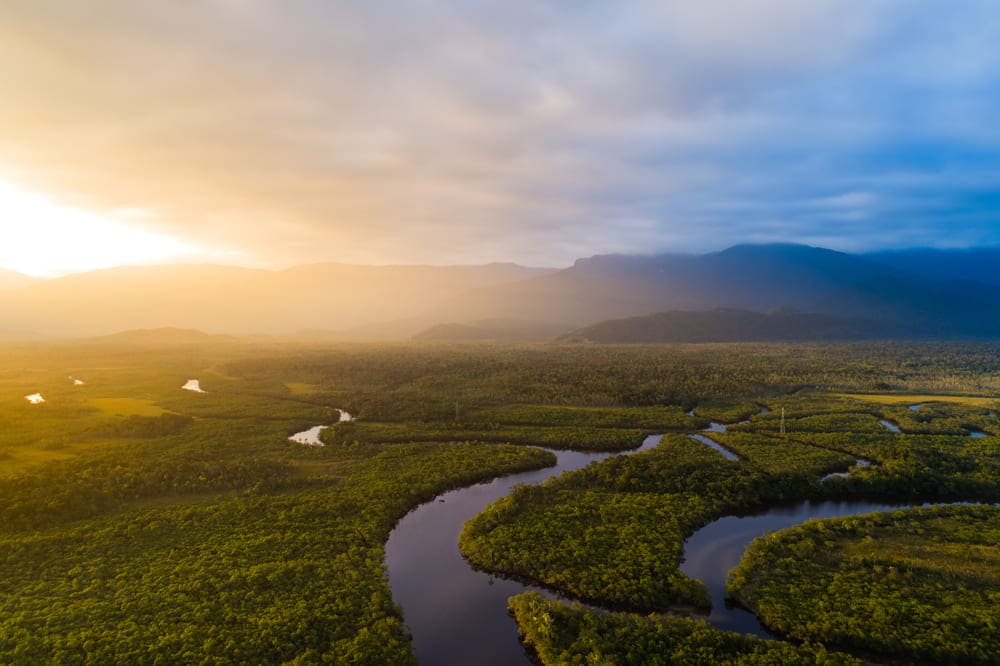 Vista aerea rio amazonas