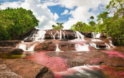 cascadas naturales caño cristales
