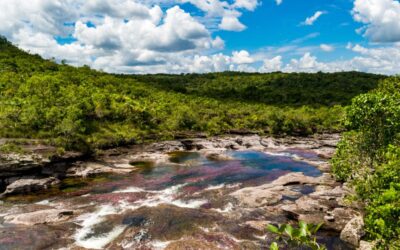 unas hermosas vistas en caño cristales