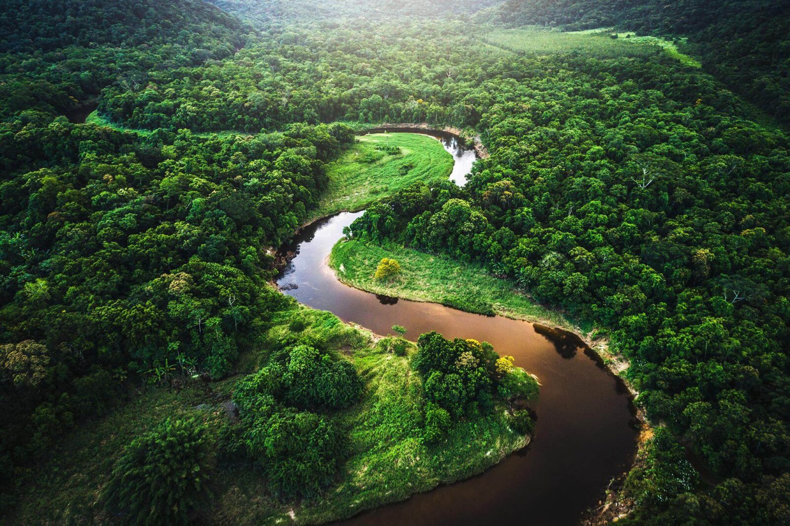 AMAZONIA Crucero por el Río Magdalena